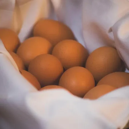 Des Neiges * Les Deux Alpes