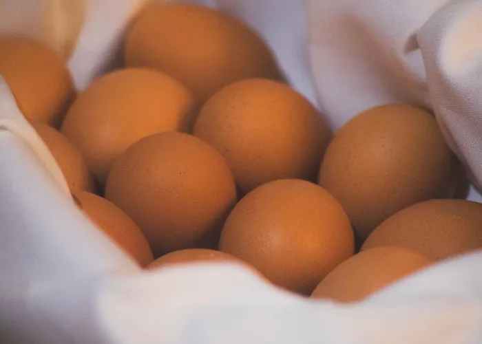 Des Neiges * Les Deux Alpes